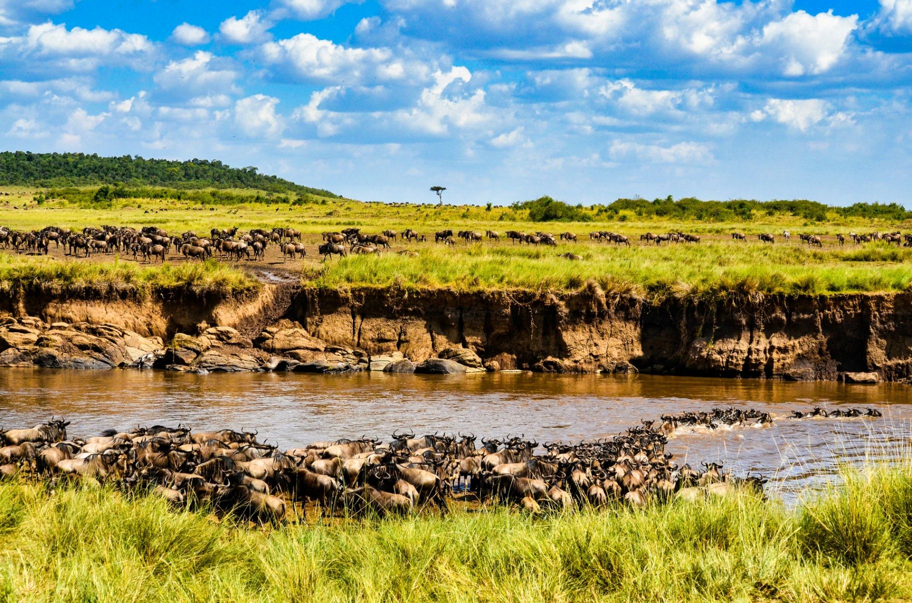 Maasai Mara wildlife and landscapes in Kenya