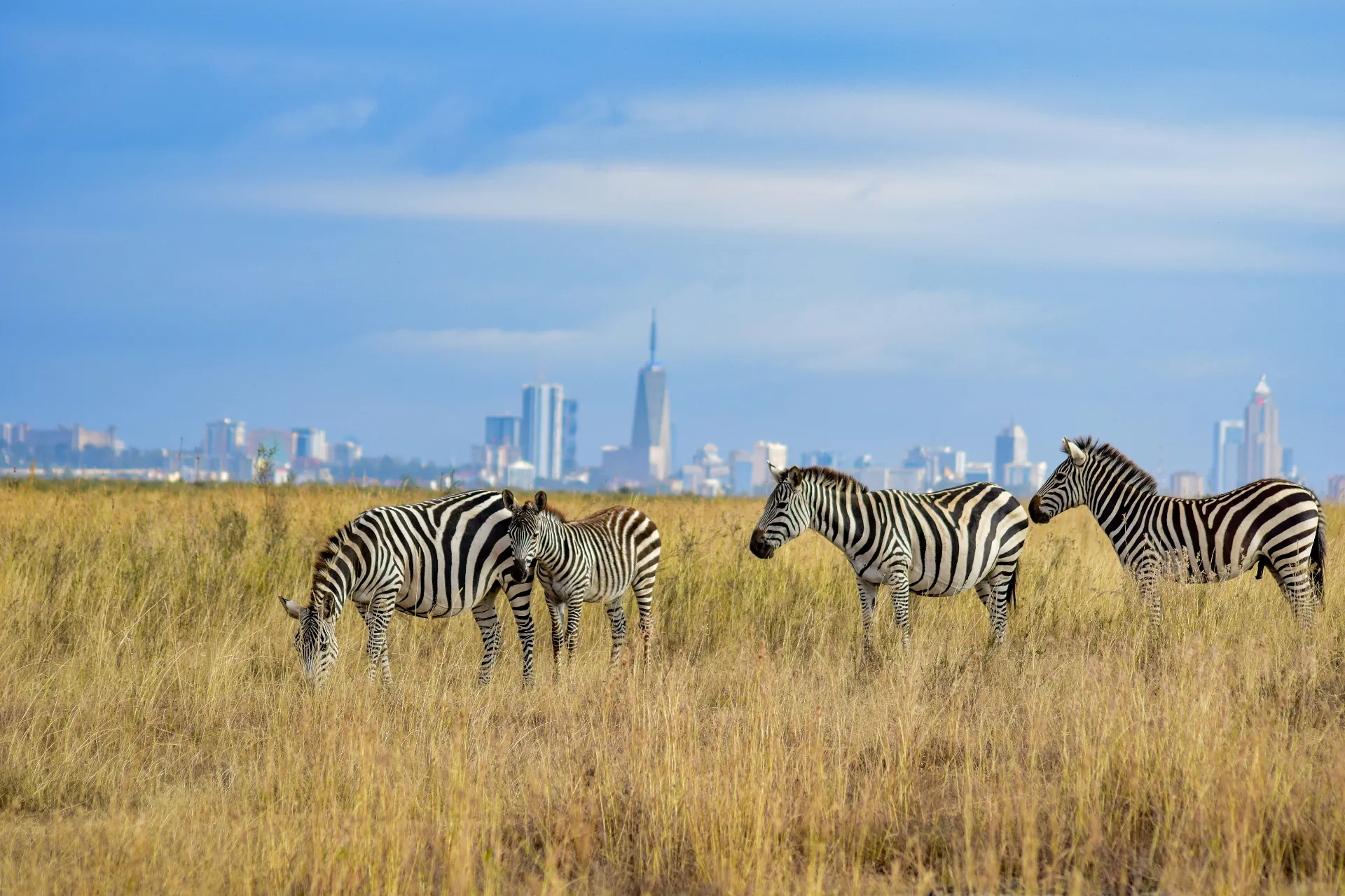 Nairobi wildlife