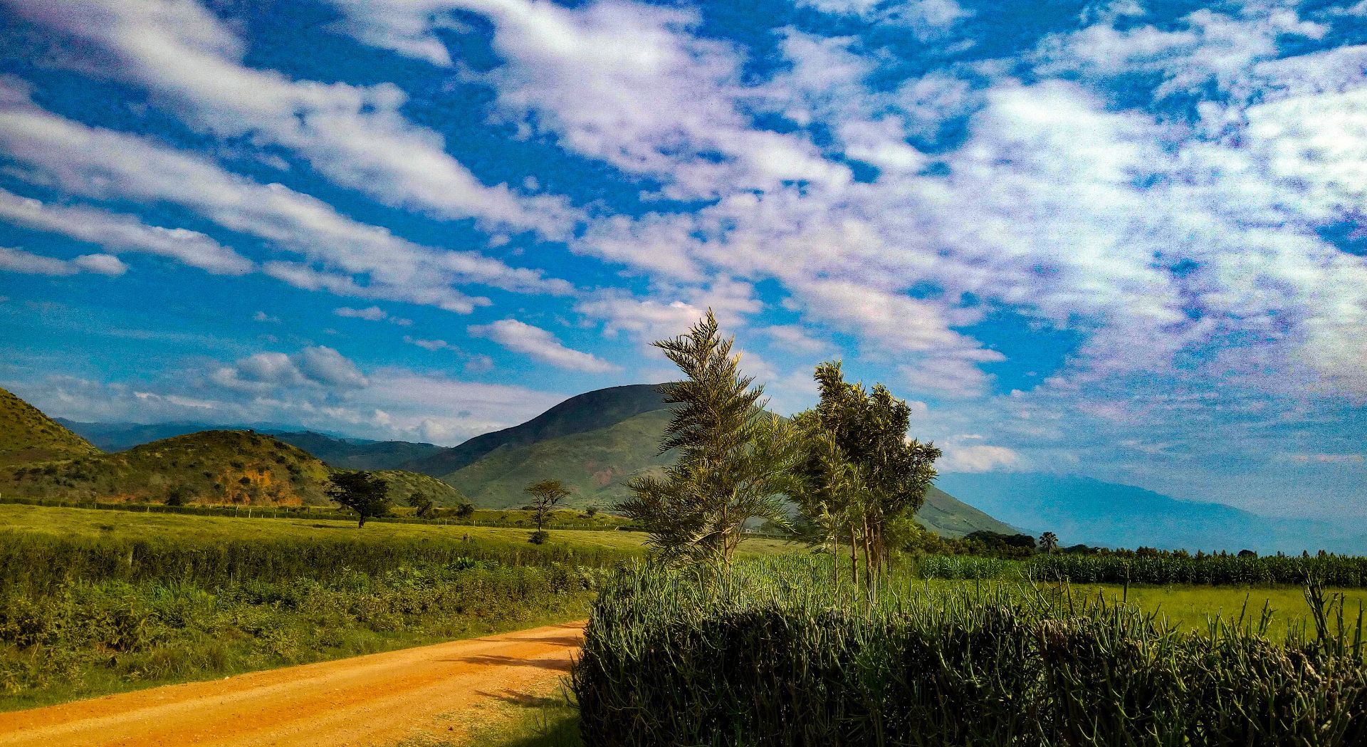 Uganda's lush landscapes and wildlife